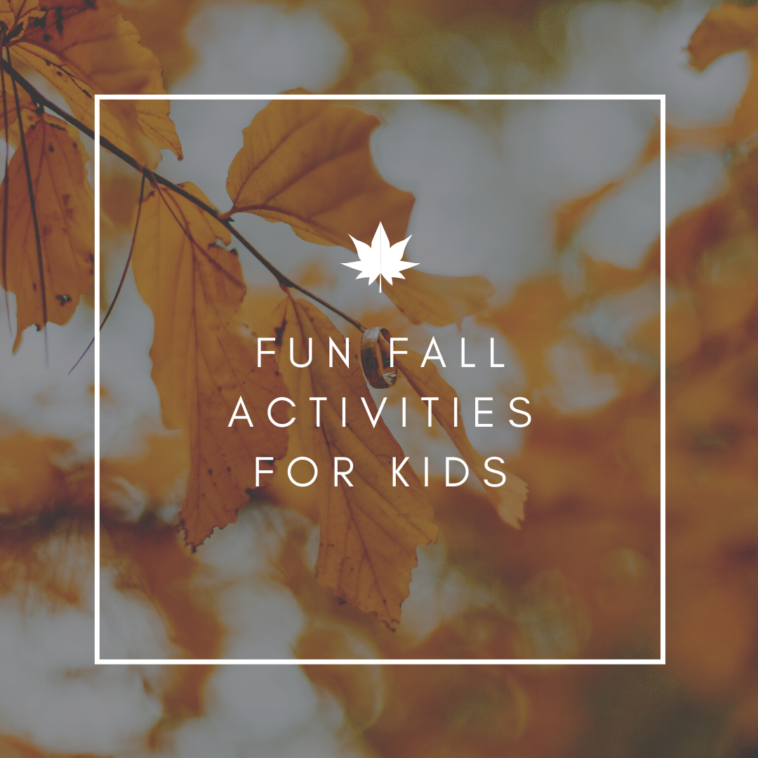 Simple Fall Activities for Kids ( Age 2-5 Yrs)